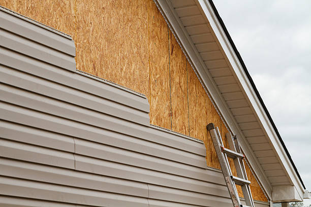 Professional Wood Siding technician working in Franklin, IN